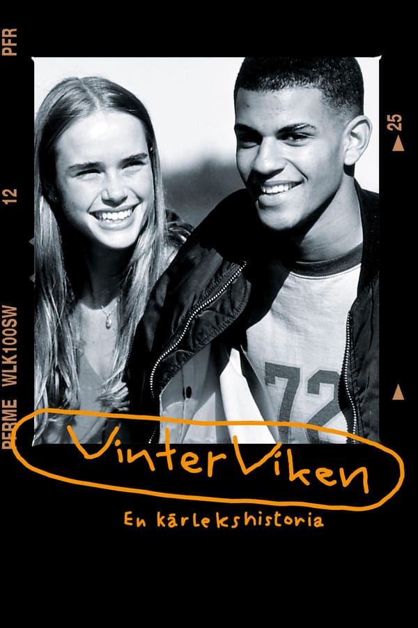 Cover of the movie Vinterviken