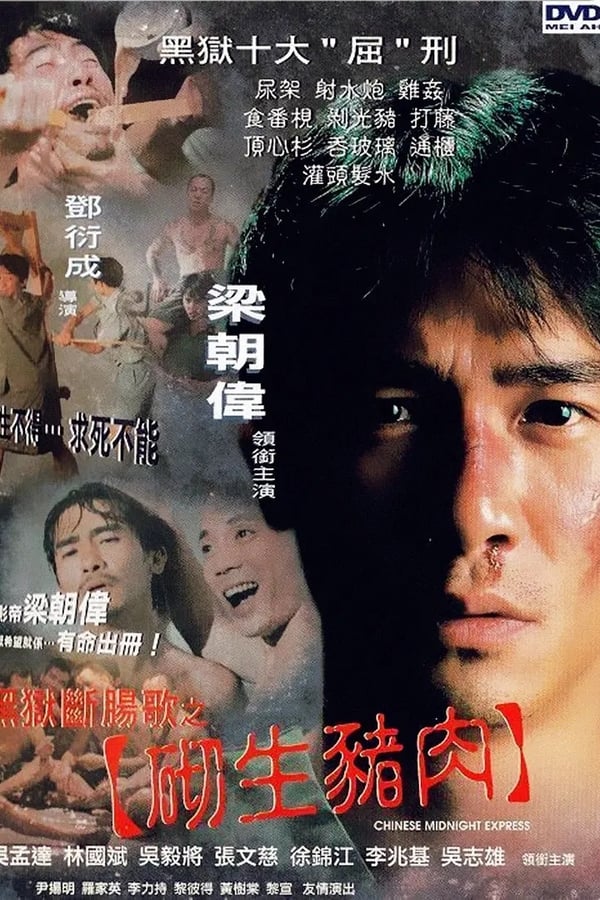 Cover of the movie Chinese Midnight Express