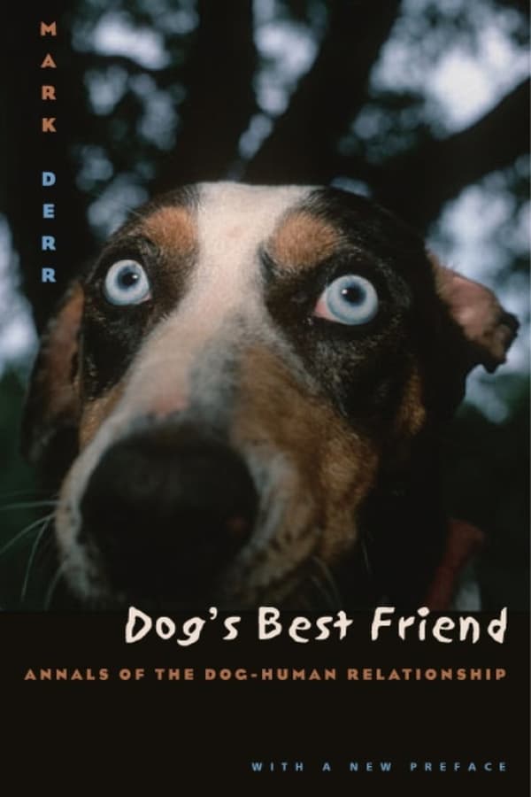 Cover of the movie Dog's Best Friend
