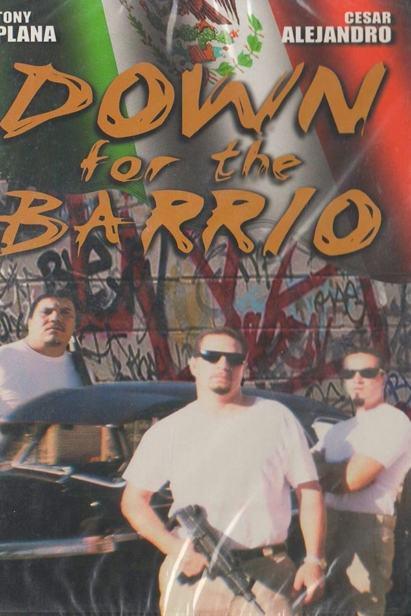 Cover of the movie Down for the Barrio