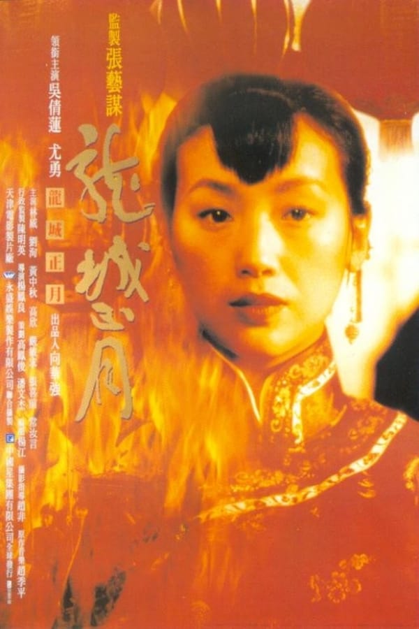 Cover of the movie Dragon Town Story
