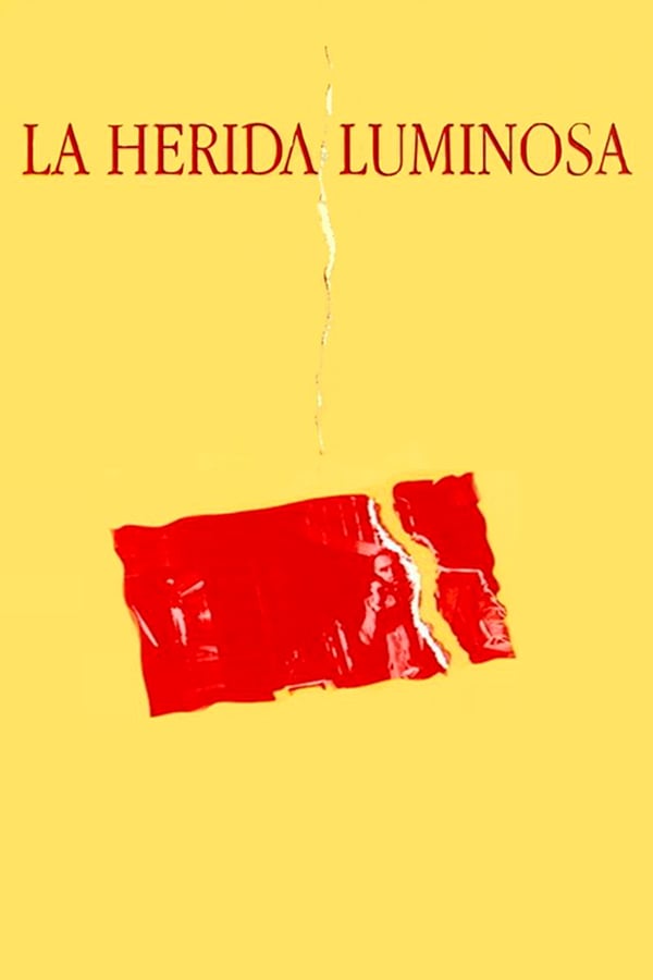 Cover of the movie La herida luminosa