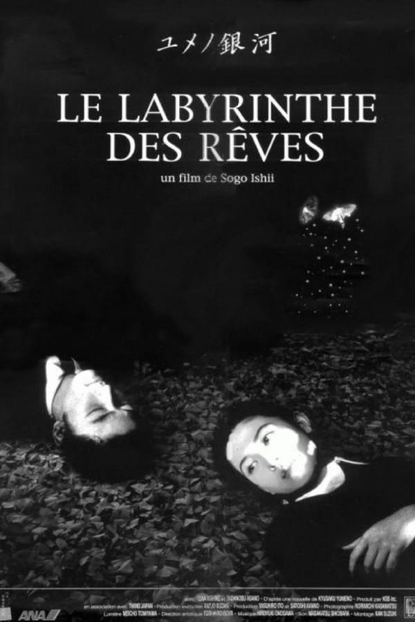 Cover of the movie Labyrinth of Dreams