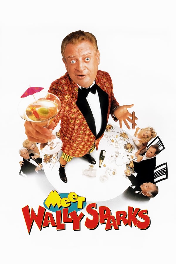 Cover of the movie Meet Wally Sparks
