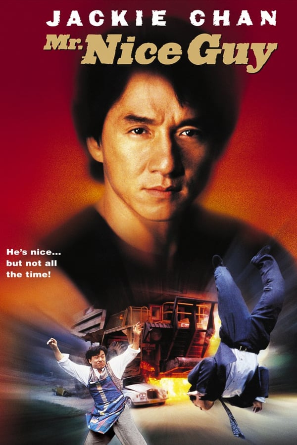 Cover of the movie Mr. Nice Guy