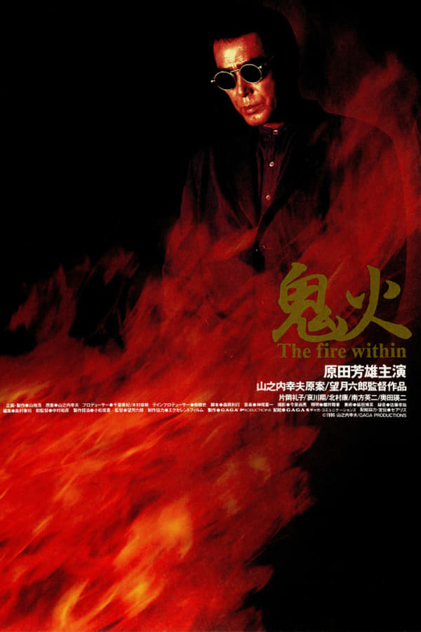 Cover of the movie Onibi: The Fire Within