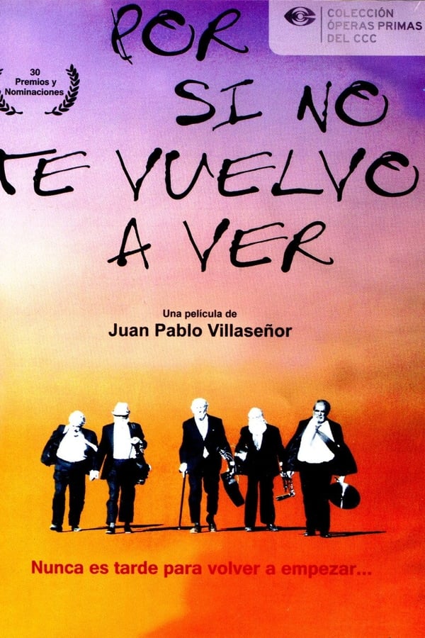 Cover of the movie Por si no te vuelvo a ver