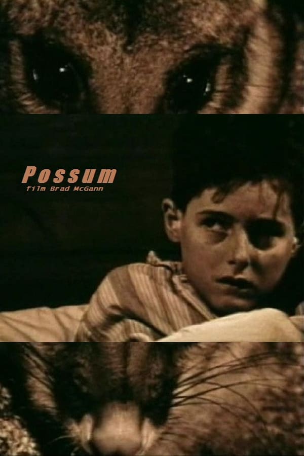 Cover of the movie Possum