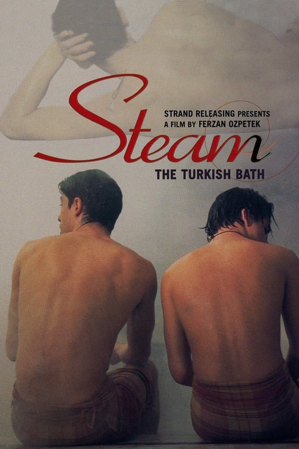 Cover of the movie Steam: The Turkish Bath