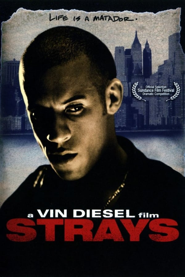 Cover of the movie Strays