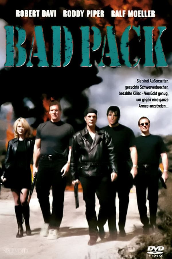 Cover of the movie The Bad Pack
