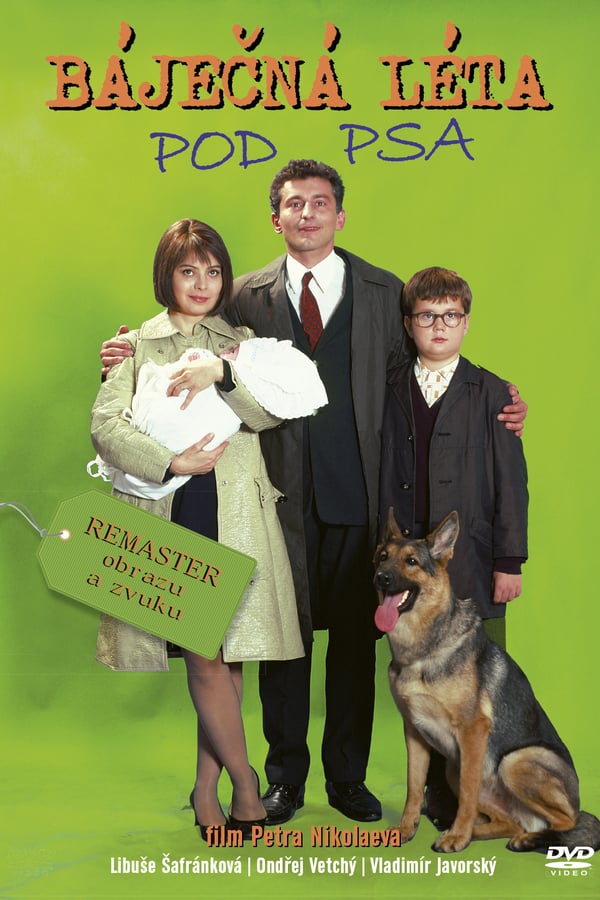 Cover of the movie The Wonderful Years That Sucked