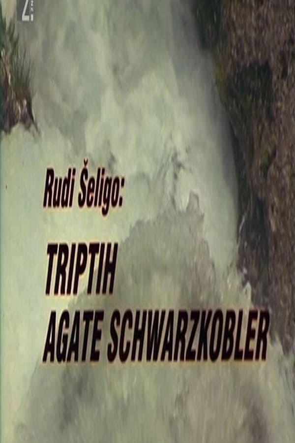Cover of the movie Triptych of Agata Schwarzkobler