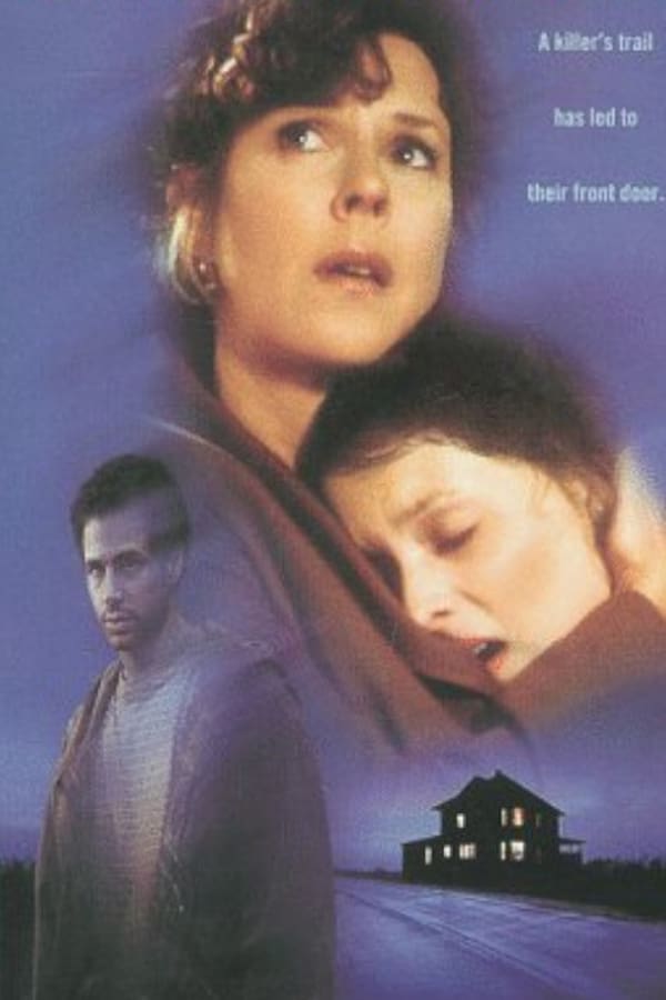 Cover of the movie When Danger Follows You Home