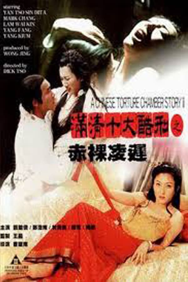 Cover of the movie A Chinese Torture Chamber Story II