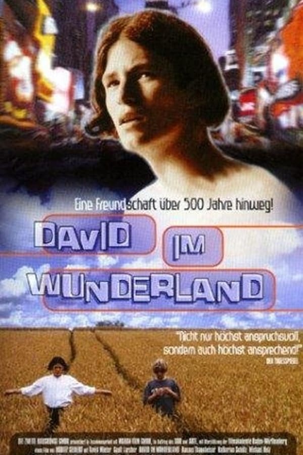 Cover of the movie David im Wunderland