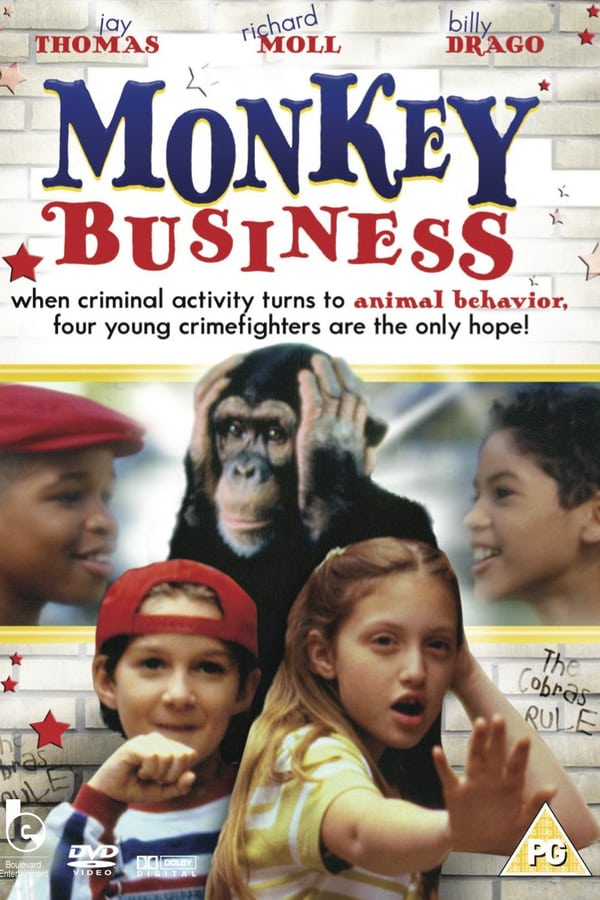 Cover of the movie Monkey Business