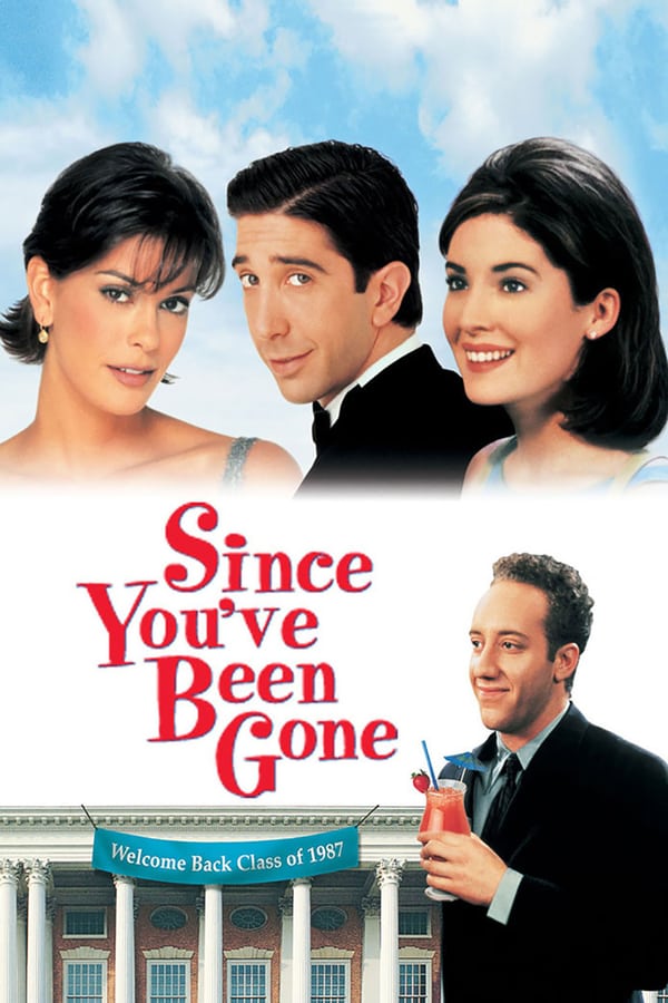 Cover of the movie Since You've Been Gone