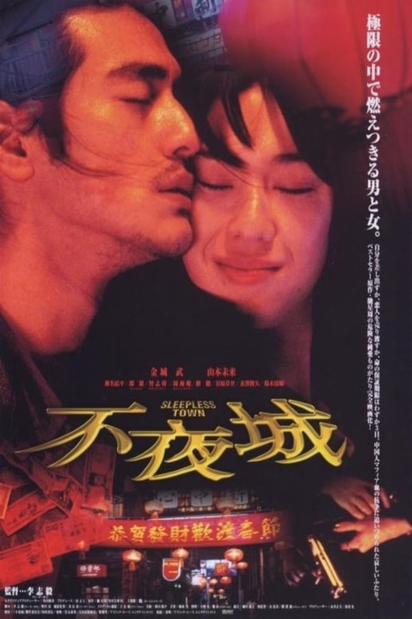 Cover of the movie Sleepless Town