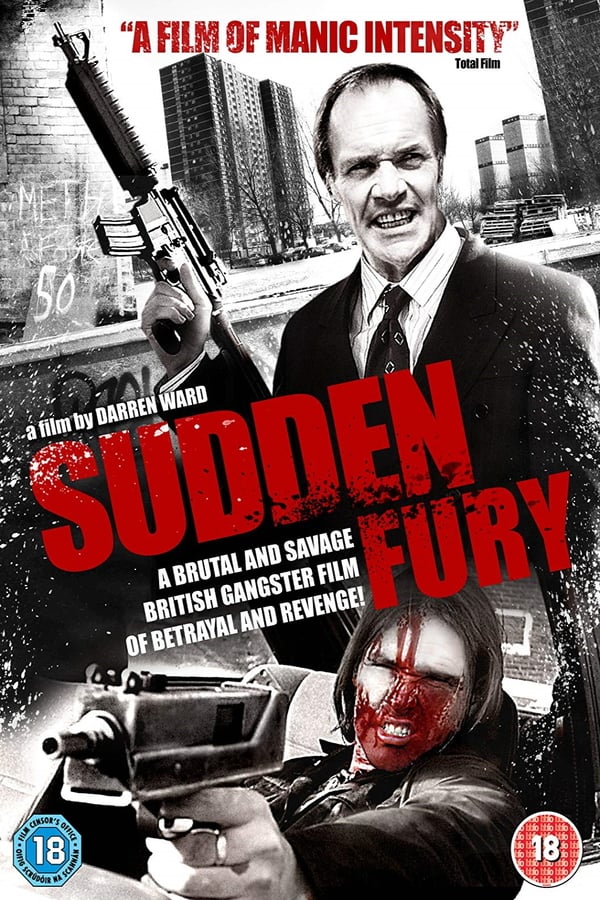 Cover of the movie Sudden Fury