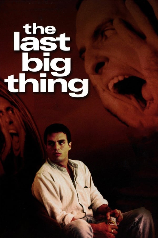 Cover of the movie The Last Big Thing