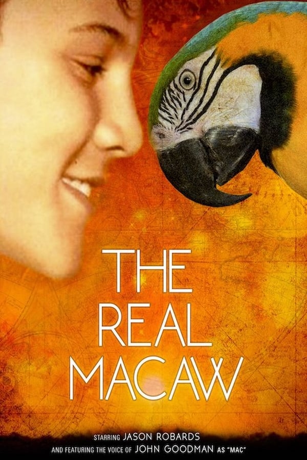 Cover of the movie The Real Macaw