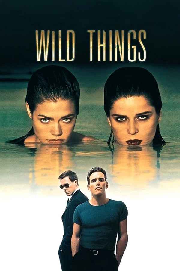 Cover of the movie Wild Things