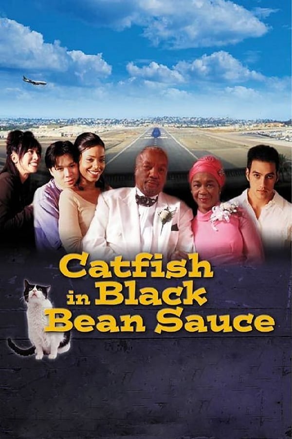 Cover of the movie Catfish in Black Bean Sauce