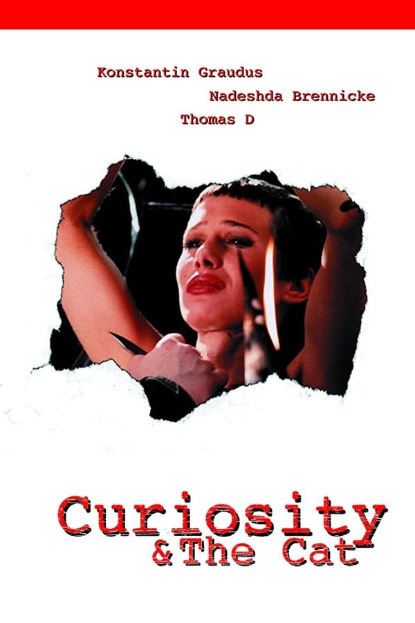 Cover of the movie Curiosity & the Cat