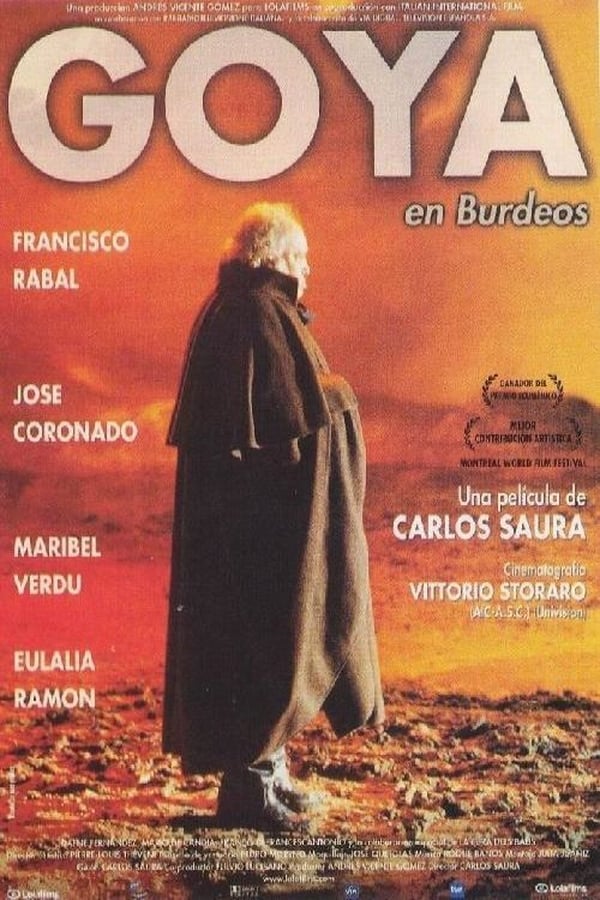 Cover of the movie Goya in Bordeaux