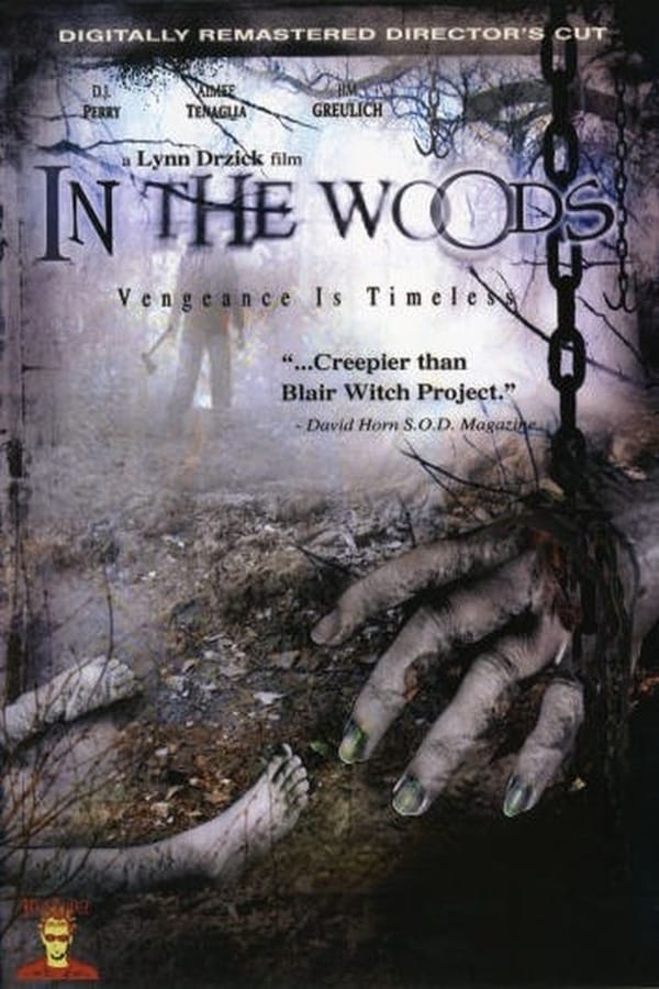 Cover of the movie In The Woods