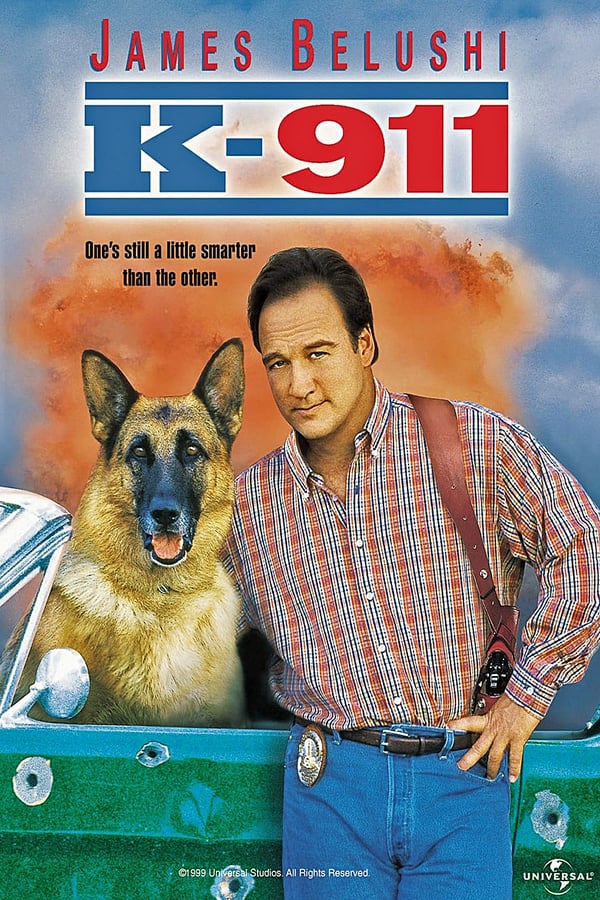 Cover of the movie K-911