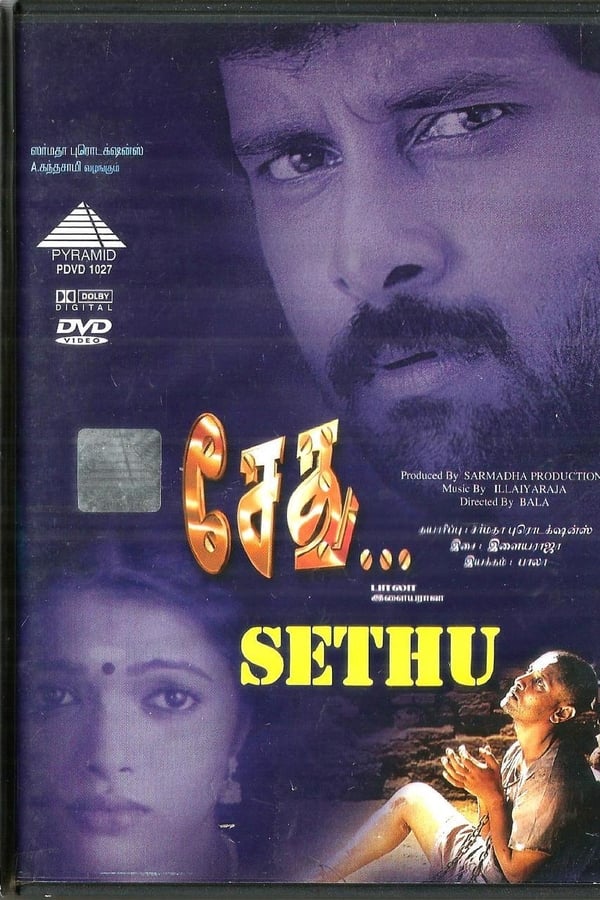 Cover of the movie Sethu