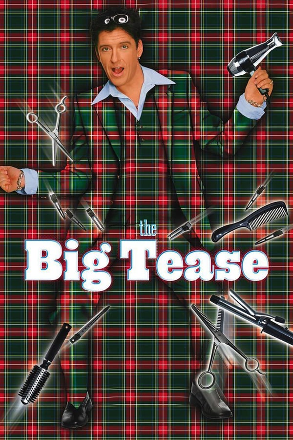 Cover of the movie The Big Tease