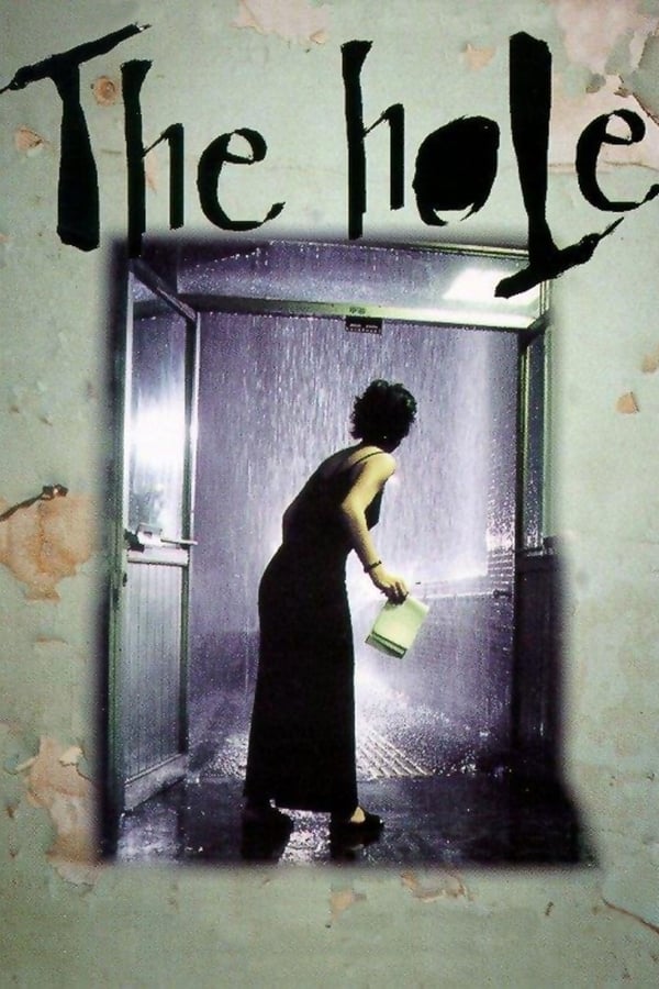 Cover of the movie The Hole