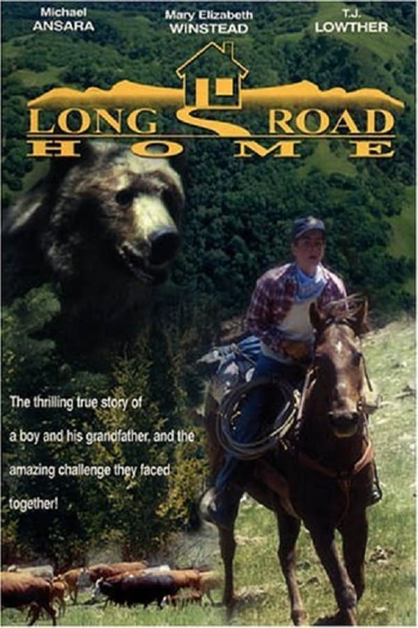 Cover of the movie The Long Road Home