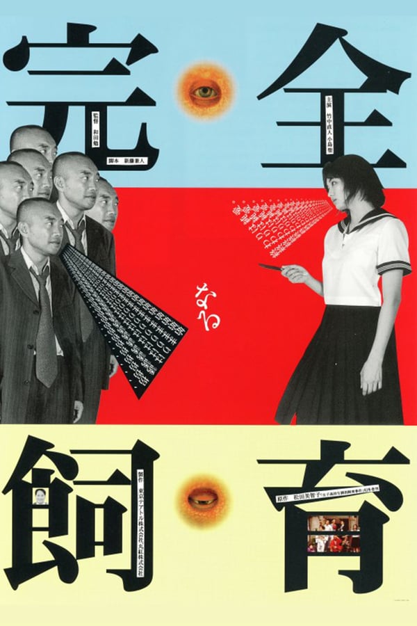 Cover of the movie The Perfect Education