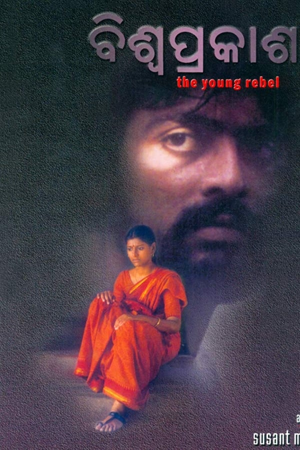Cover of the movie The Young Rebel
