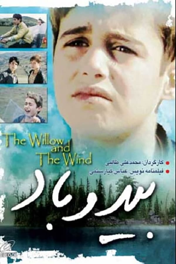 Cover of the movie Willow and Wind