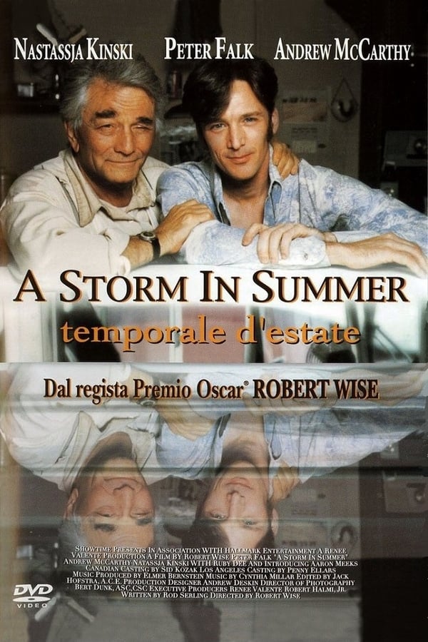 Cover of the movie A Storm in Summer