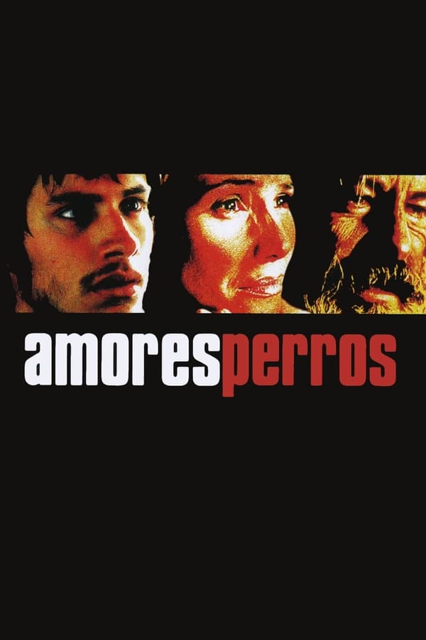 Cover of the movie Amores Perros