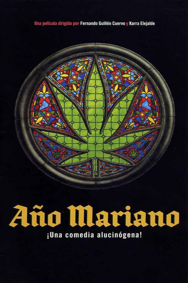 Cover of the movie Año Mariano