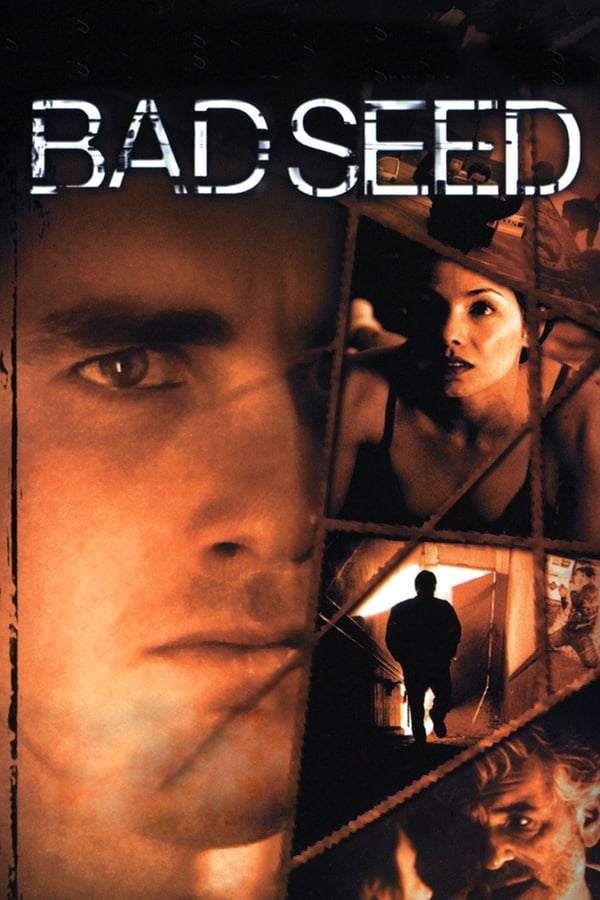 Cover of the movie Bad Seed