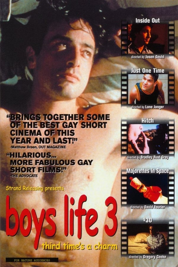 Cover of the movie Boys Life 3
