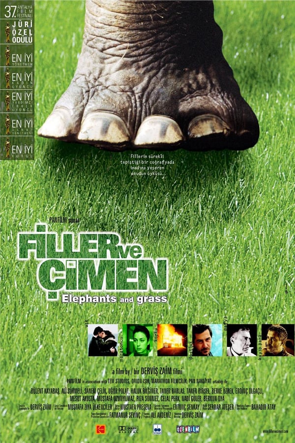 Cover of the movie Elephants and Grass