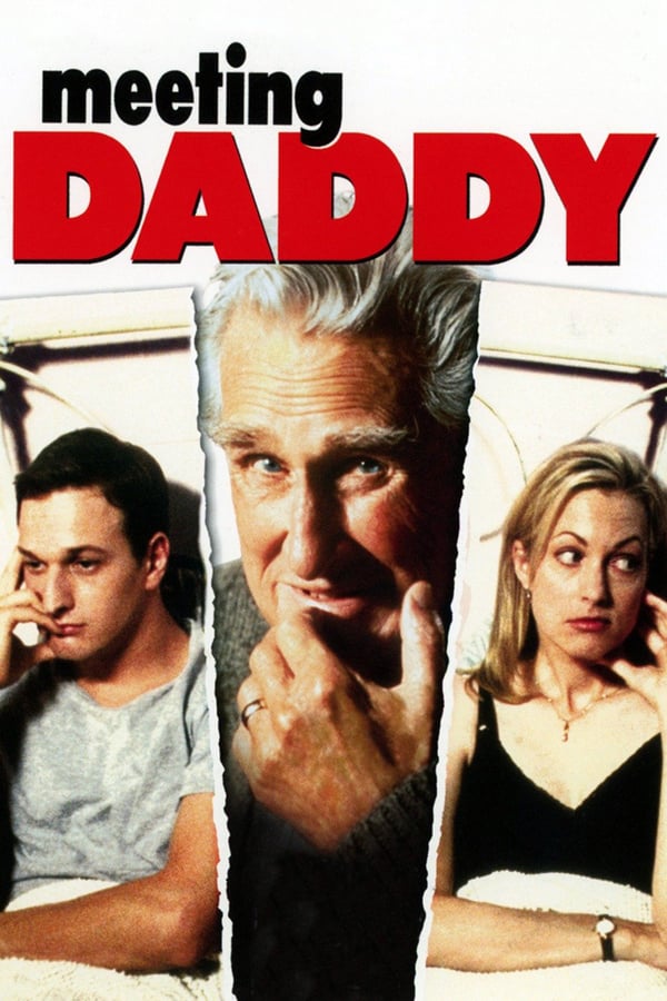 Cover of the movie Meeting Daddy