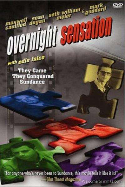 Cover of the movie Overnight Sensation