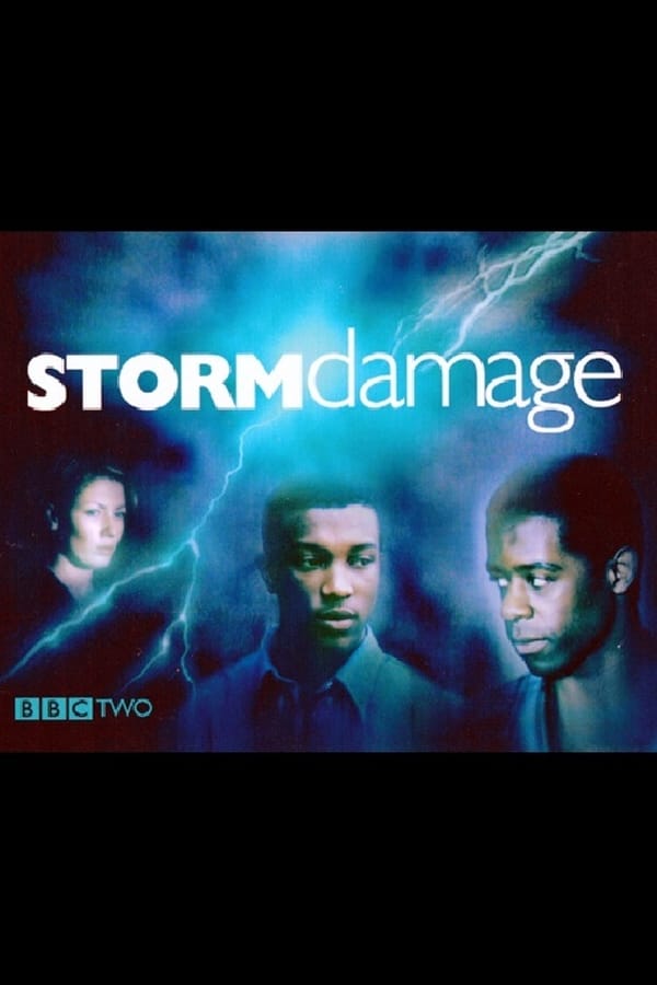 Cover of the movie Storm Damage
