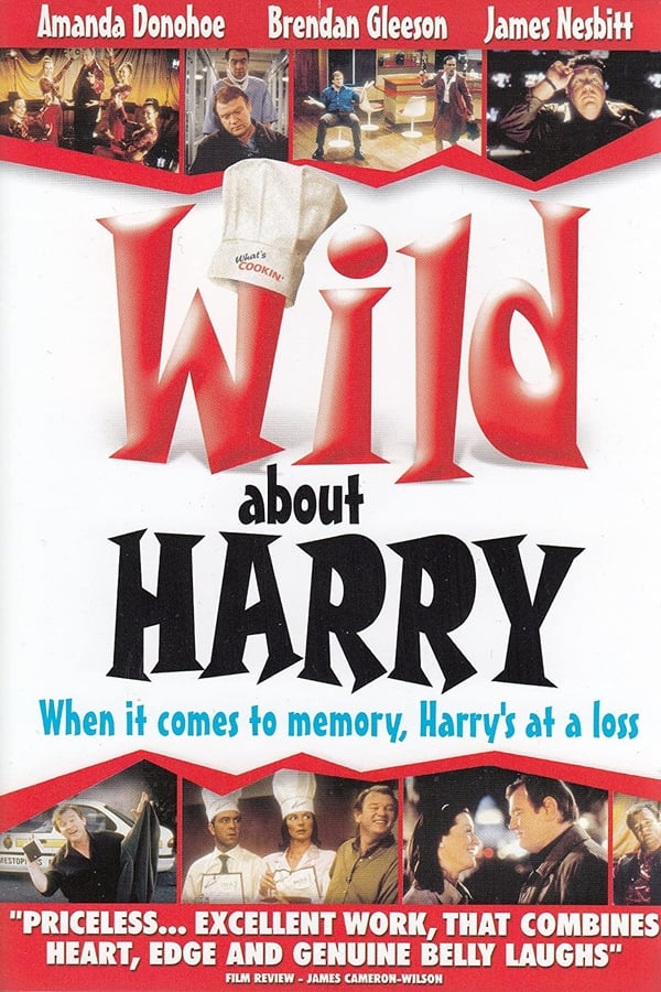 Cover of the movie Wild About Harry