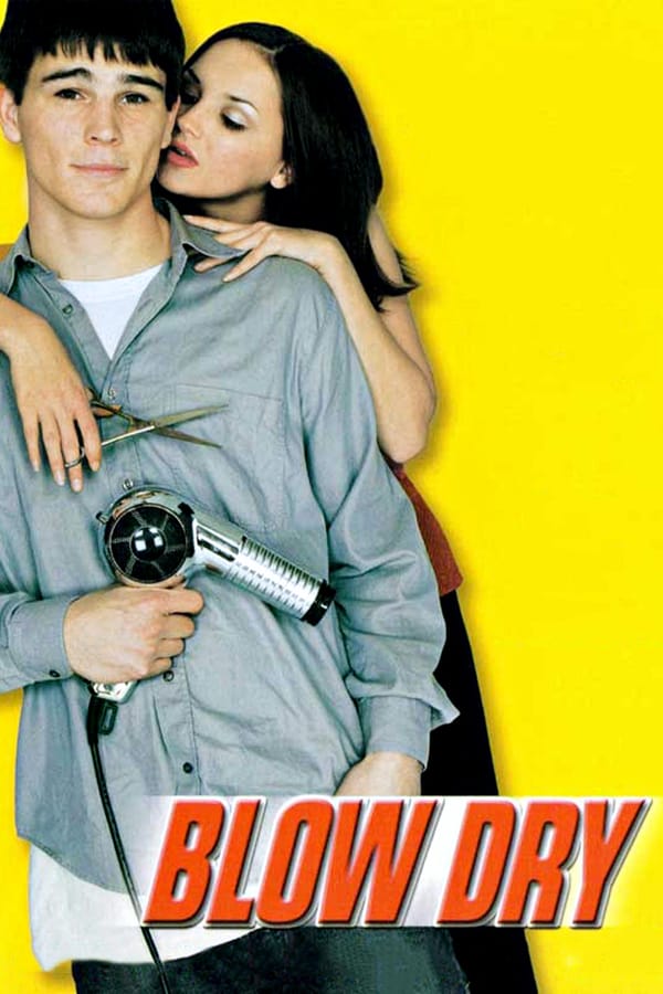 Cover of the movie Blow Dry